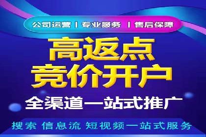 SEM代运营服务公司案例分析：数据驱动营销策略